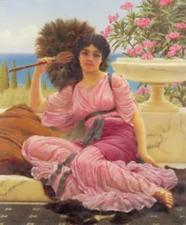 flabellifera